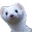 Project Suki