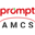Prompt AMCS