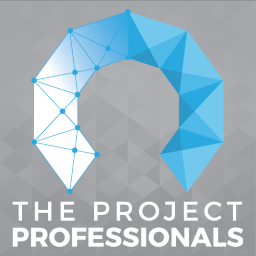 The Project Professionals