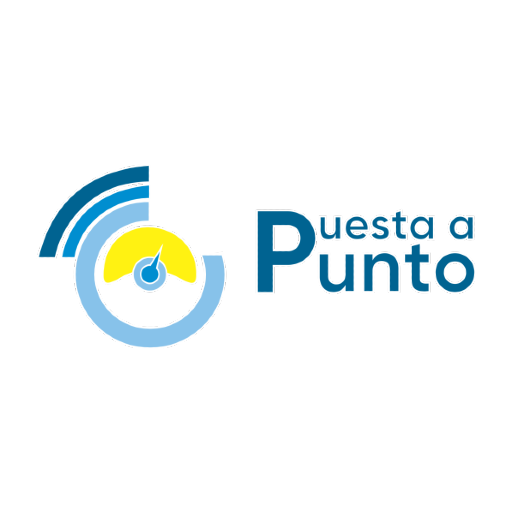 Puesta a Punto