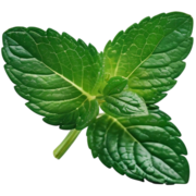 Pure Mint Software