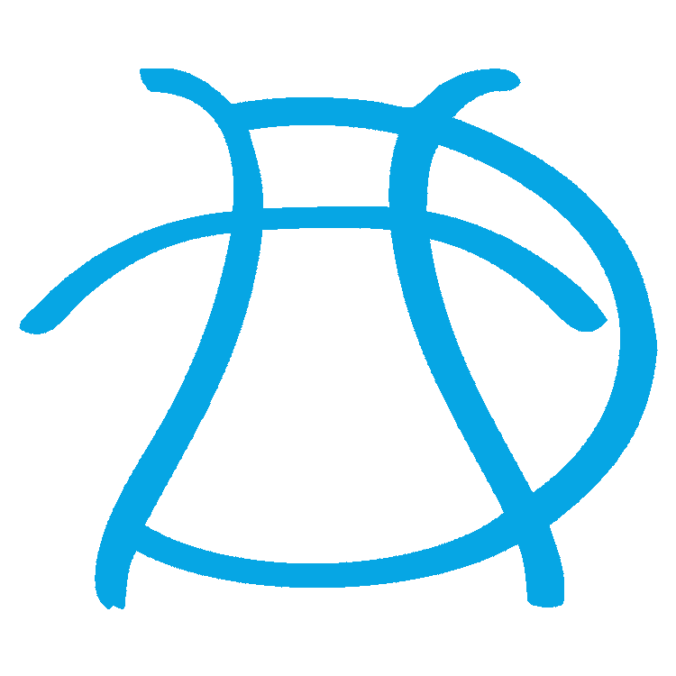 Pure Sweat Basketball