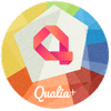 Qualia+