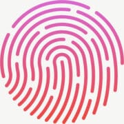Qualified Electronic Signature