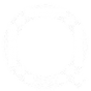 Qui-Vive