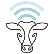 Qwintal