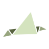 Raccomandata Verde