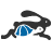 Race Entry