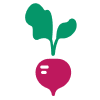 Raddish