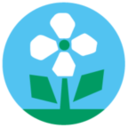Raffine Group