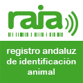 DAIRA