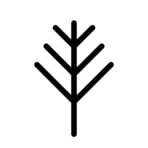 Raintree Technology