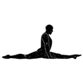 Range of Strength