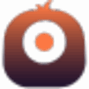 Rapid Image