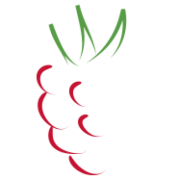 Raspberry Software