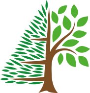 Rassenlijst Bomen
