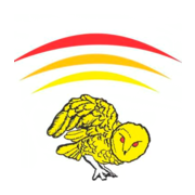 Rastreio Rápido