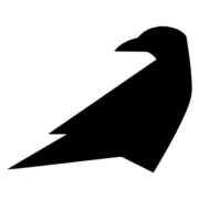 Raven Health
