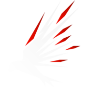 RAVN Networks