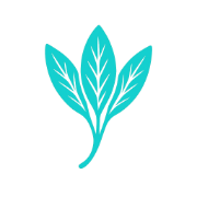 Recipe Organizer App