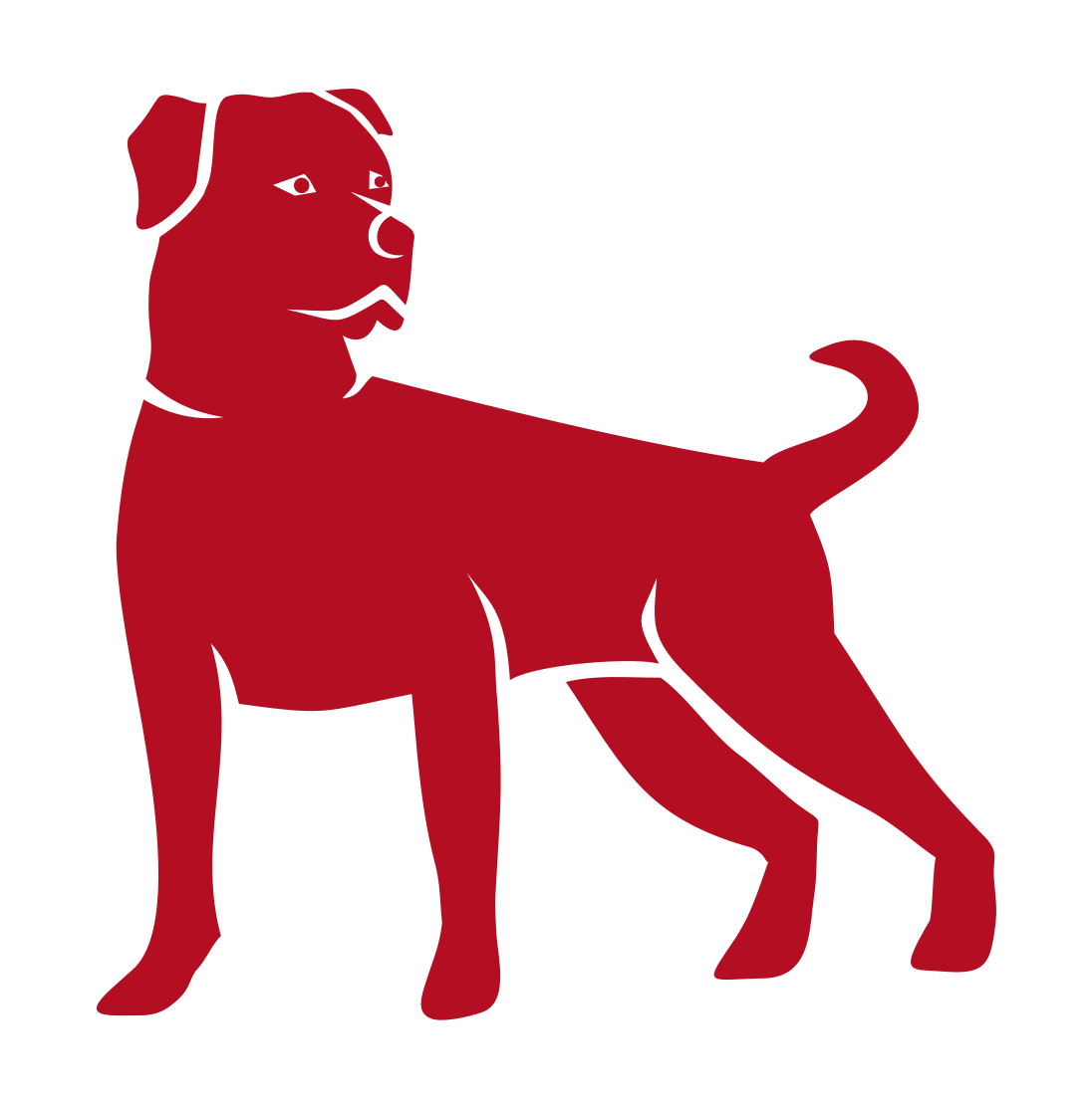 REDDCRYPT