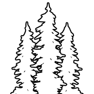 Redwood