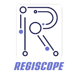 Regiscope