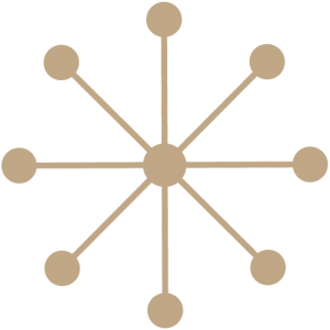 Resilience Constellation