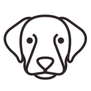 Retriever Services