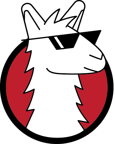 Review Llama