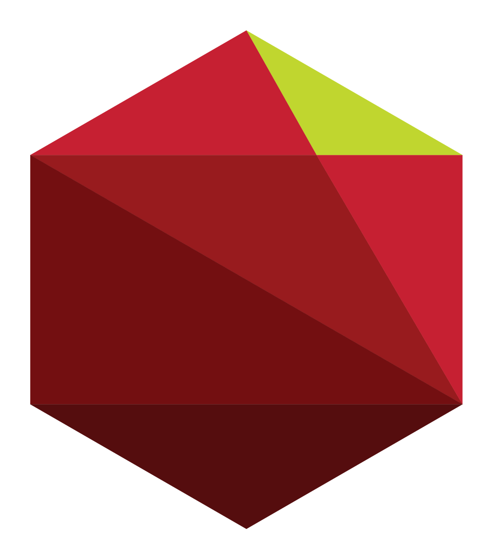 RFIDentikit