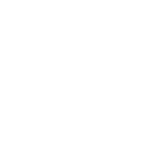 Rig