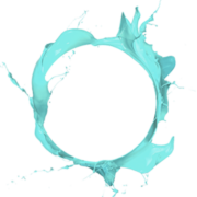 Ring Telecom
