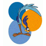 Roadrunner Email