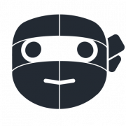 Robot Ninja