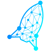 RocketTutor