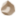 Rock Identifier