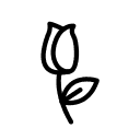Rose Medical