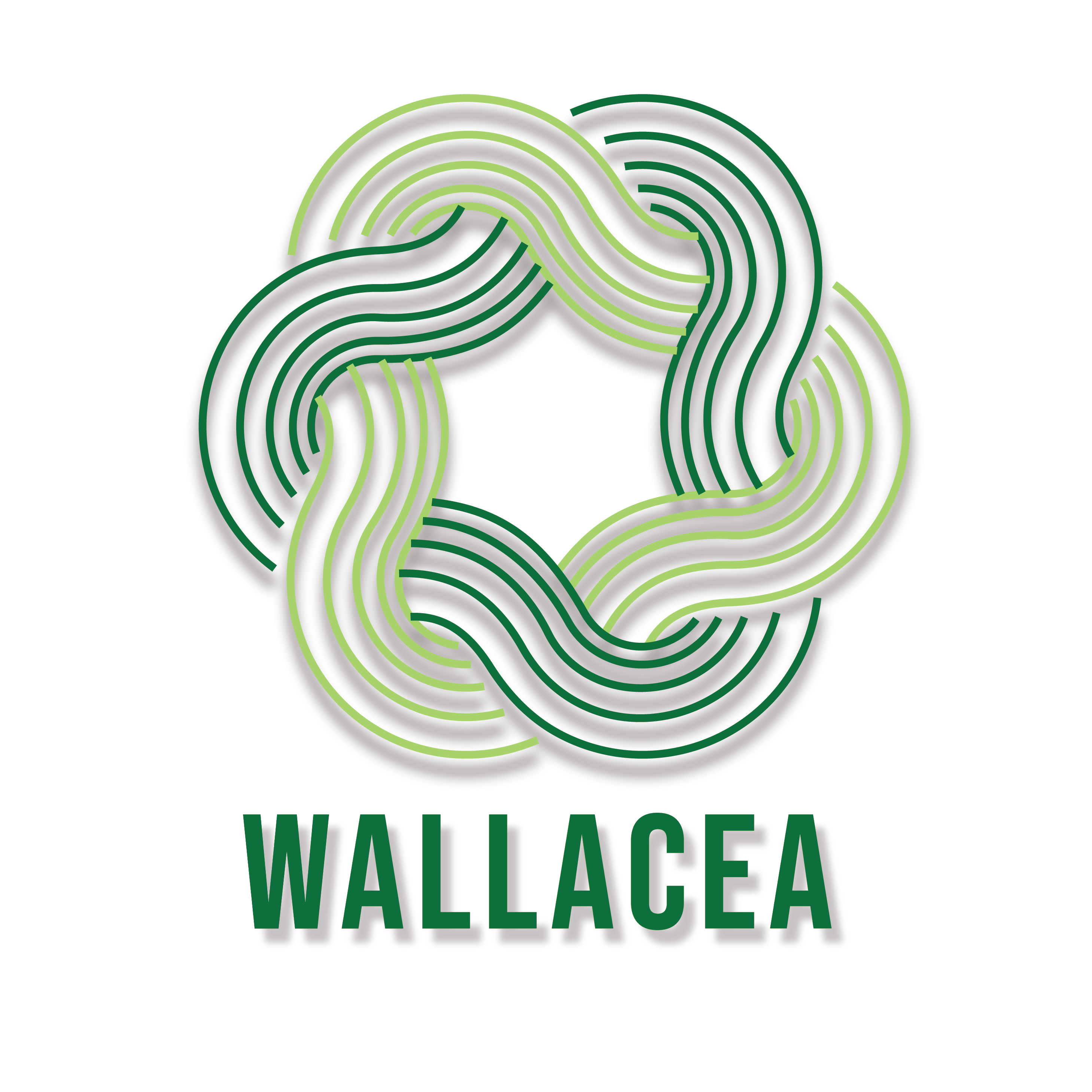 Rotanwallacea