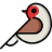 Round Robin Bot