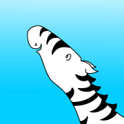 Roy the Zebra