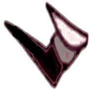 RunPact