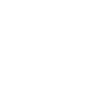 rust-script