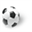 Support to Sport