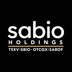 Sabio Holdings