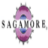 Sagamore Health Network