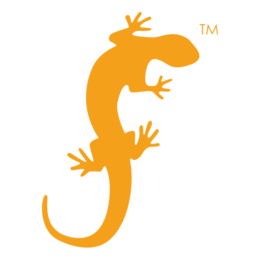 Salamander