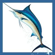 Sale Fish