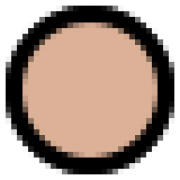 SalonTarget