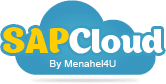 SAP Business One